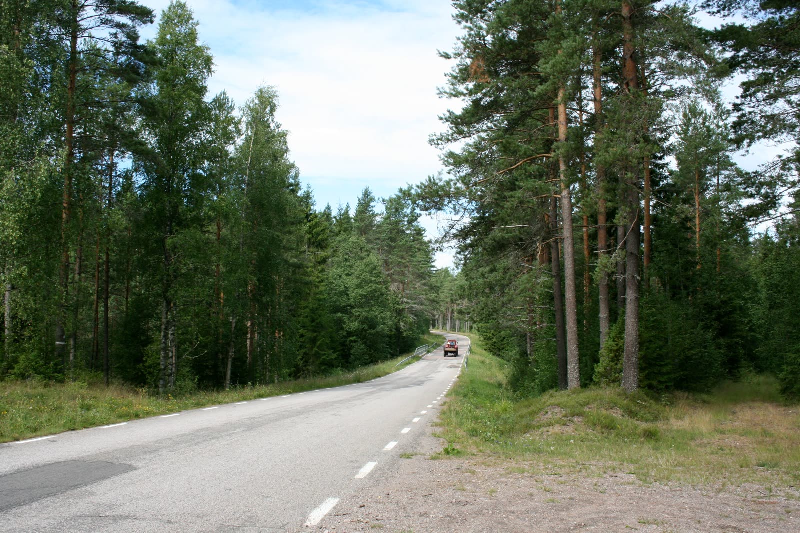 An empty road curving away through Swedish pine and birch forest